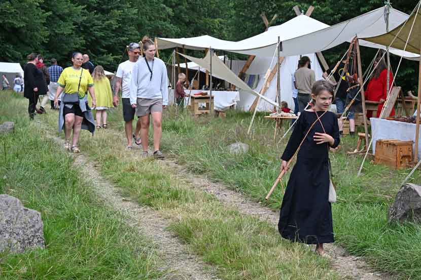 viking marked 26 03
