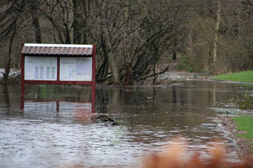 jels sø 20 05