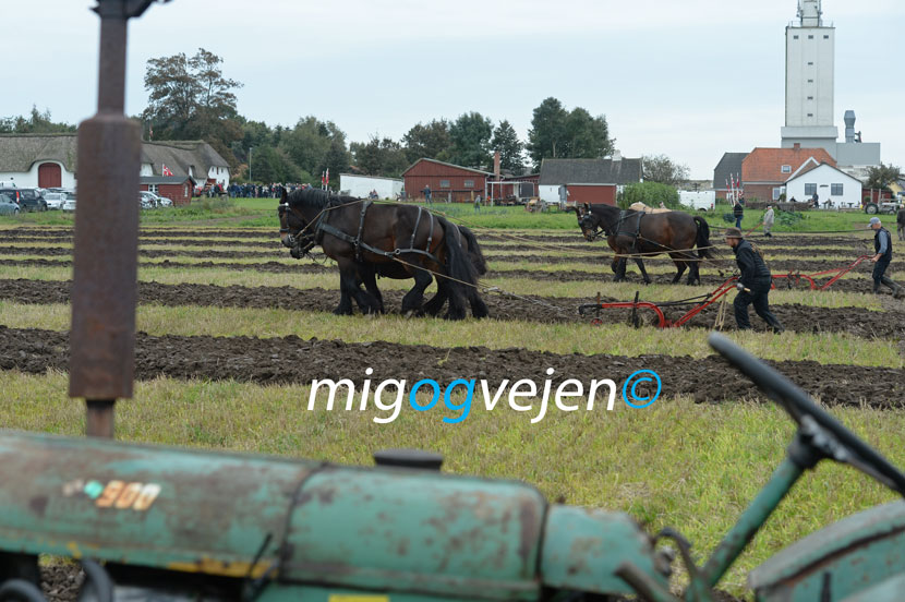 hygum pløjedage 21 03