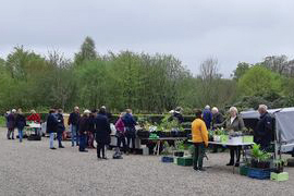 sønderskov blomster tul