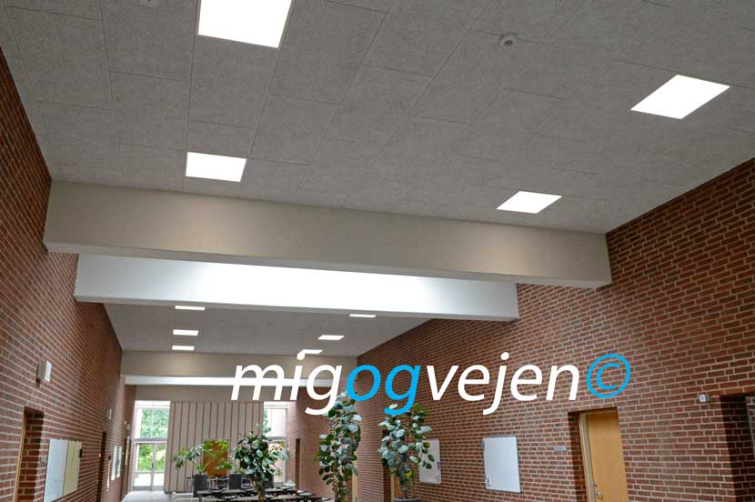 vejen gymnasium 21 08