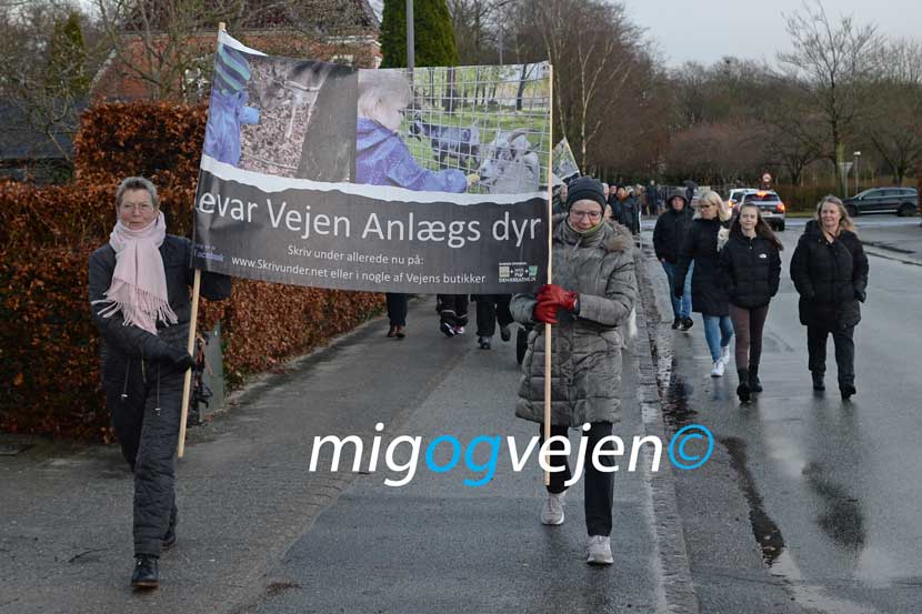 anlæg demonstration 22 02