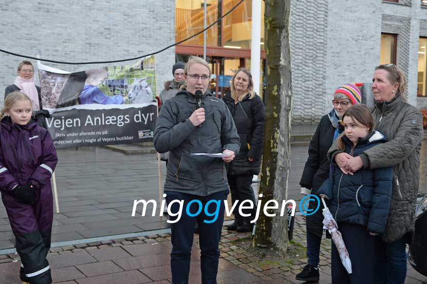 anlæg demonstration 22 06