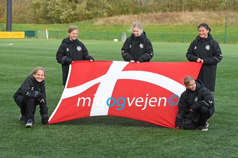 fodbold landskamp 22 01