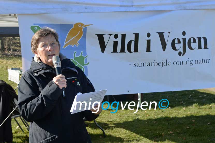 vild i vejen 22 01