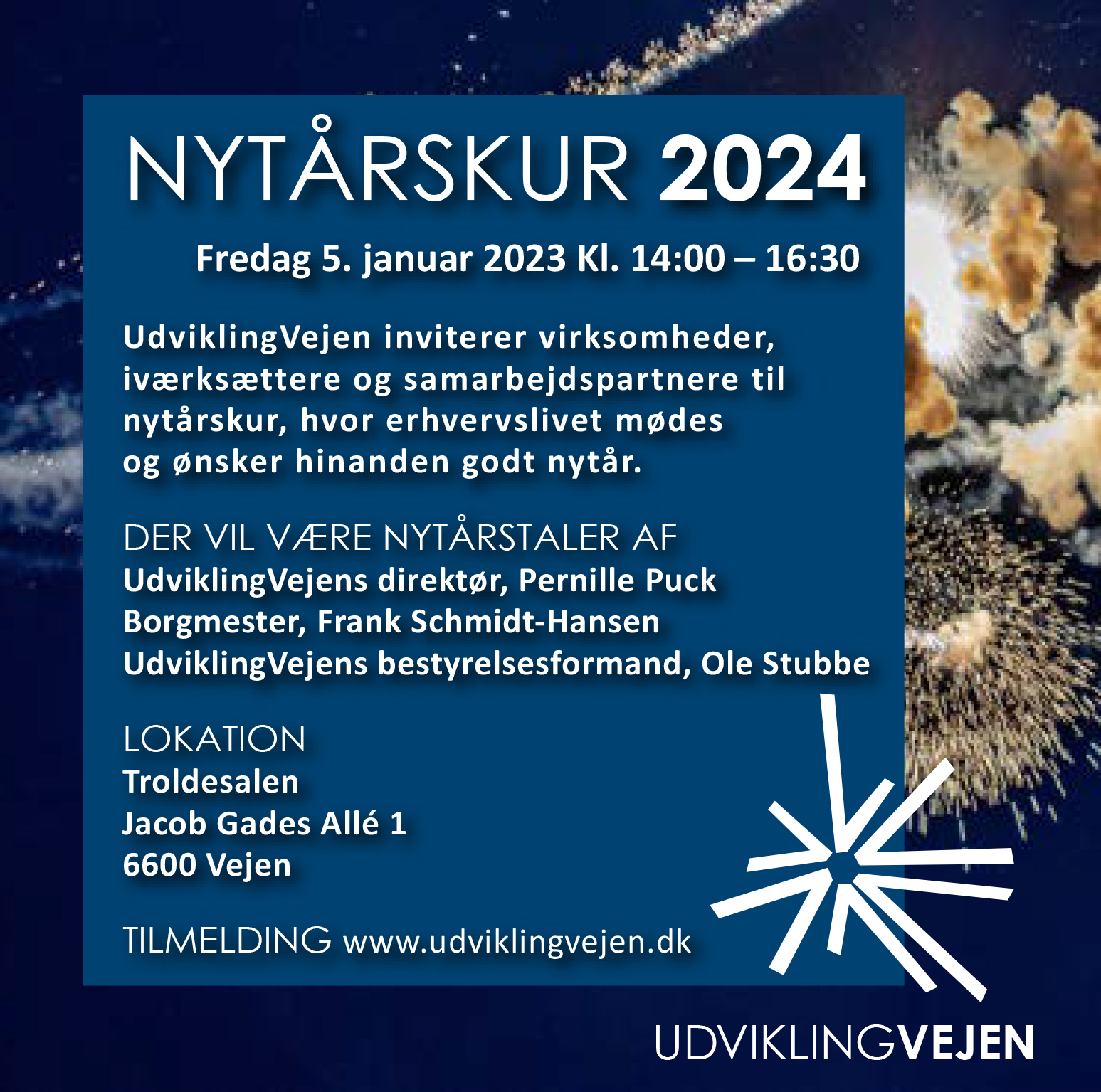 Udvikling Vejen - nytårskur 2024