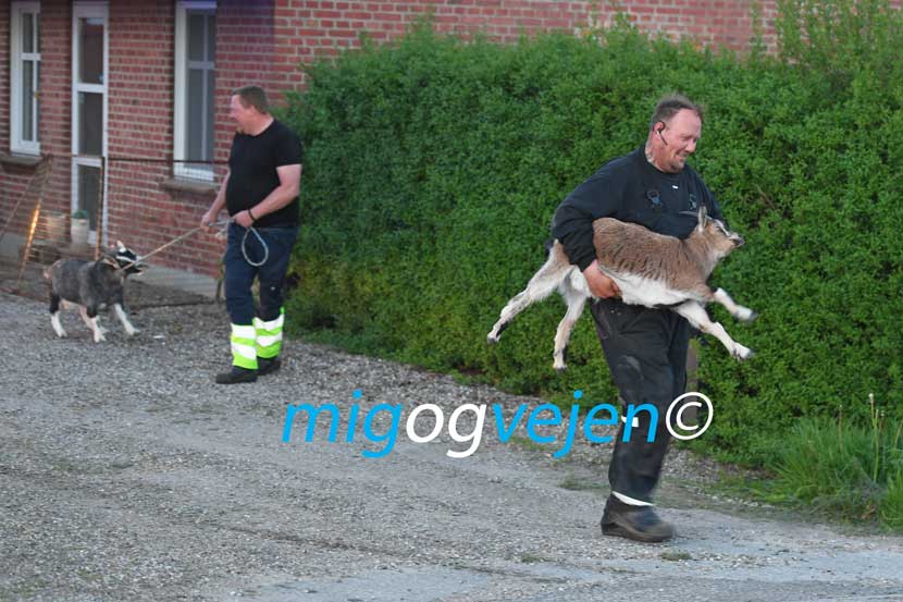 brand haderslevvej 23 06