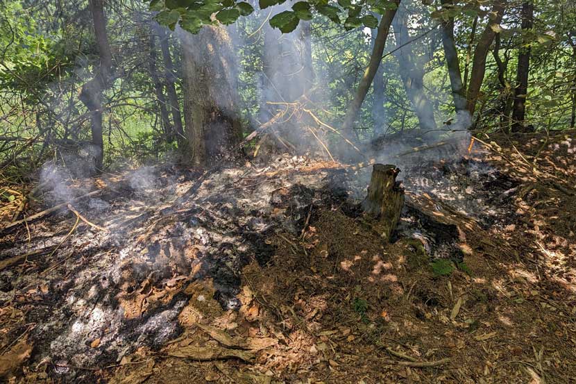 brand natur sønderskov jp 23 03