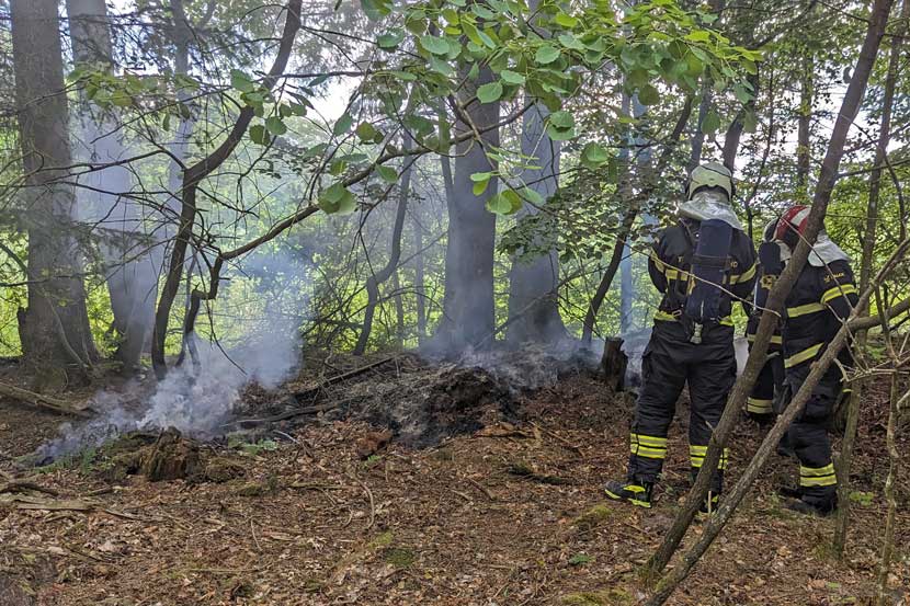 brand natur sønderskov jp 23 06