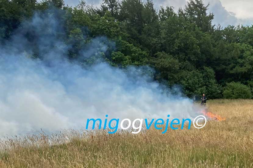 brand naturbrand 23 05