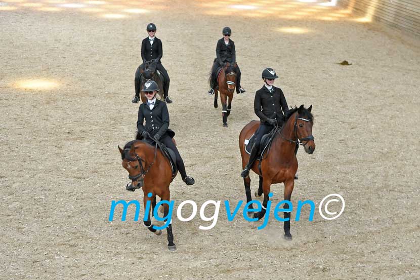 ladelund rideklub 23 01