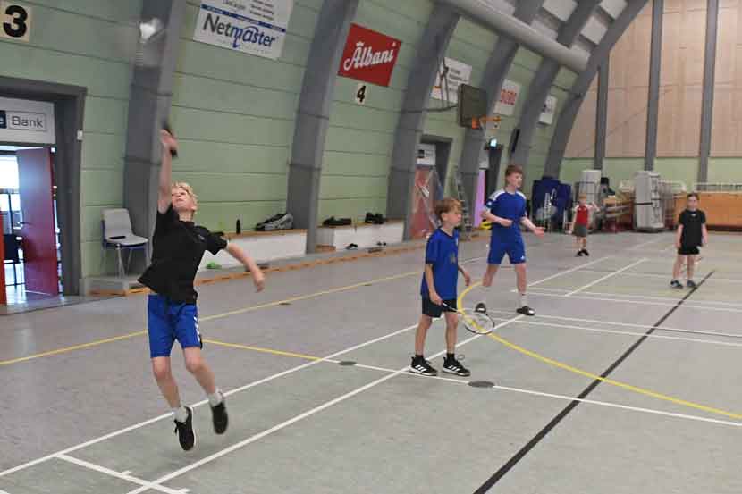 badminton 25 06