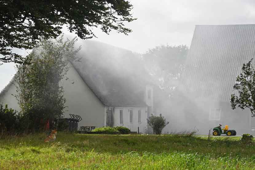 brand ribevej 5 25 01