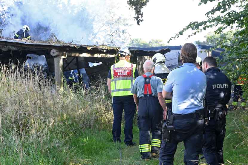 brand skodborgskovvej 19 25 04