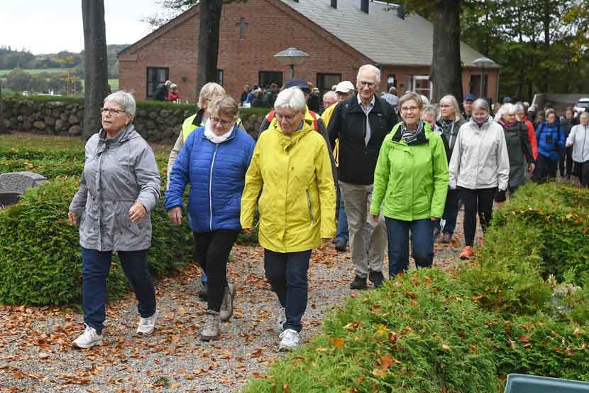 camino malt herred 25 05