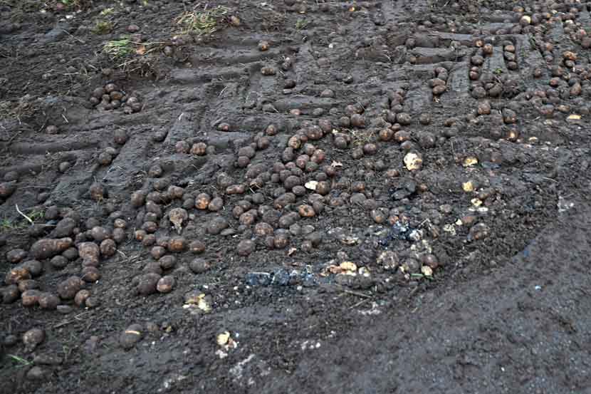 fuh lastbil kartofler 25 02