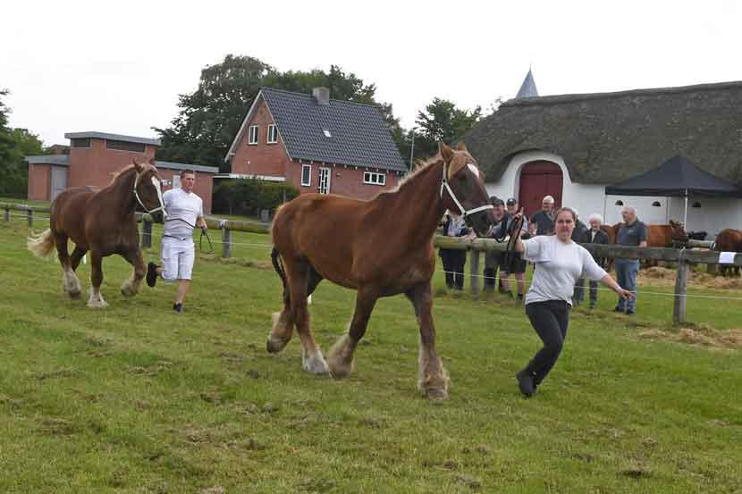 hygum hjemstavnsgard 25 04