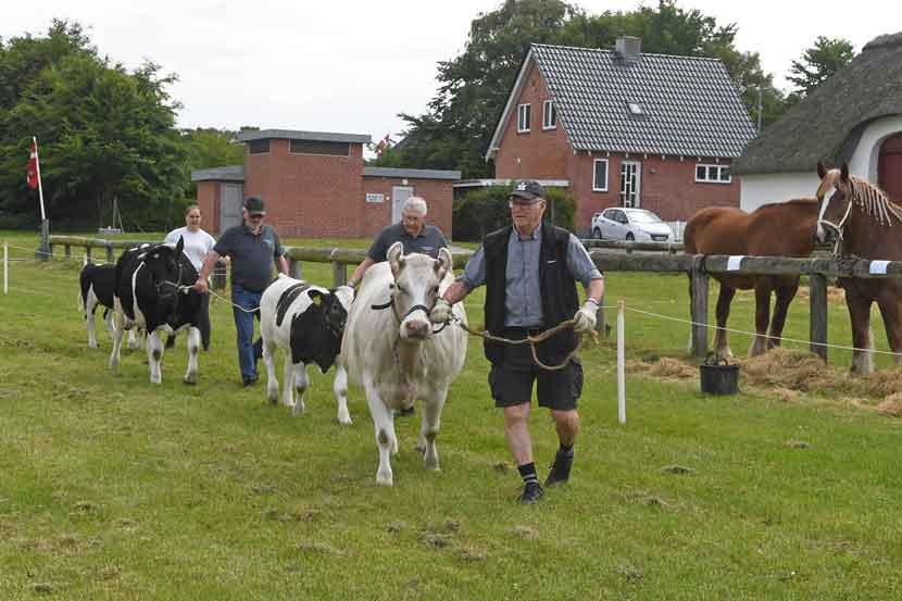 hygum hjemstavnsgard 25 05