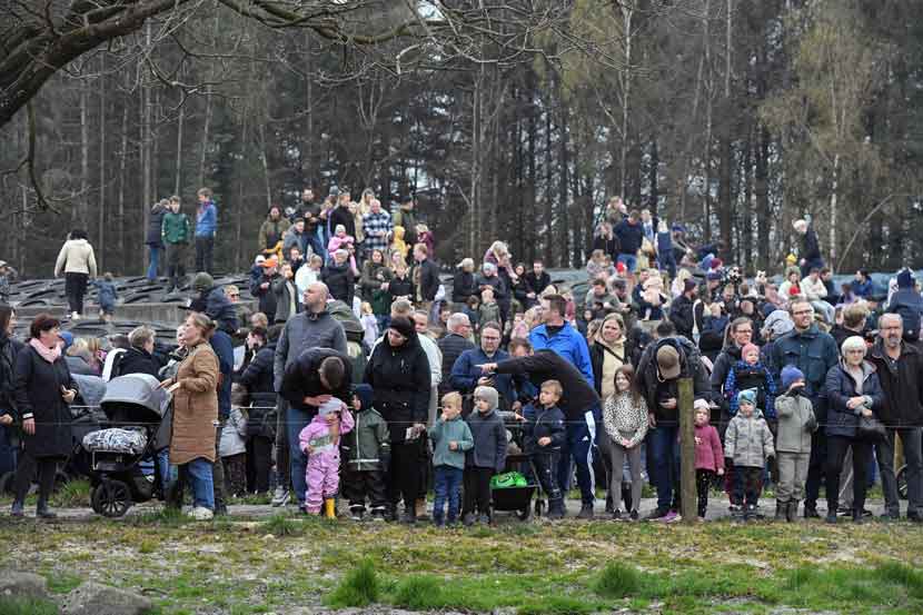 okodag 25 01