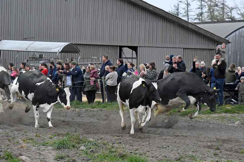 okodag 25 02