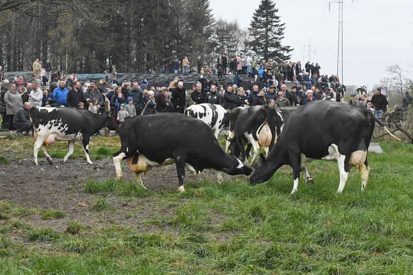 okodag 25 06