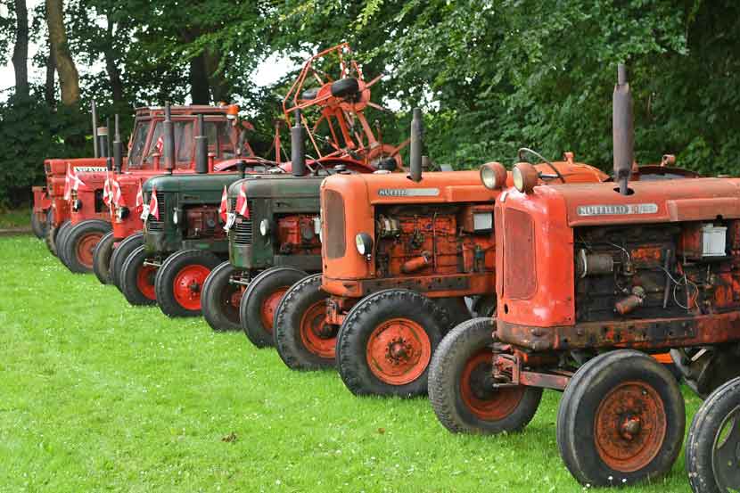 veerst sommerfest 25 06