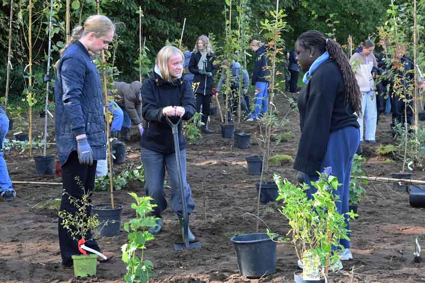 vejen gymnasium planter 25 02