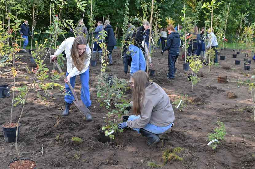 vejen gymnasium planter 25 03