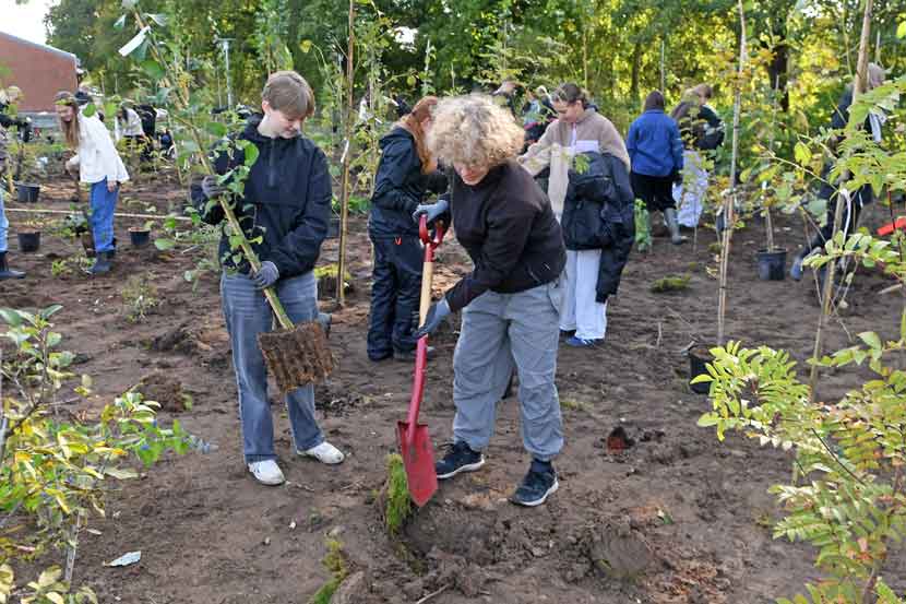 vejen gymnasium planter 25 04
