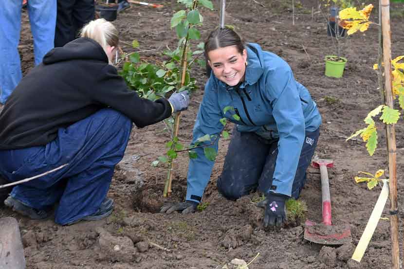 vejen gymnasium planter 25 05