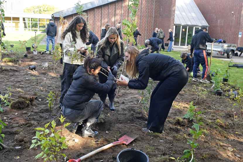 vejen gymnasium planter 25 06