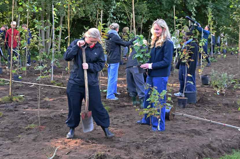 vejen gymnasium planter 25 07