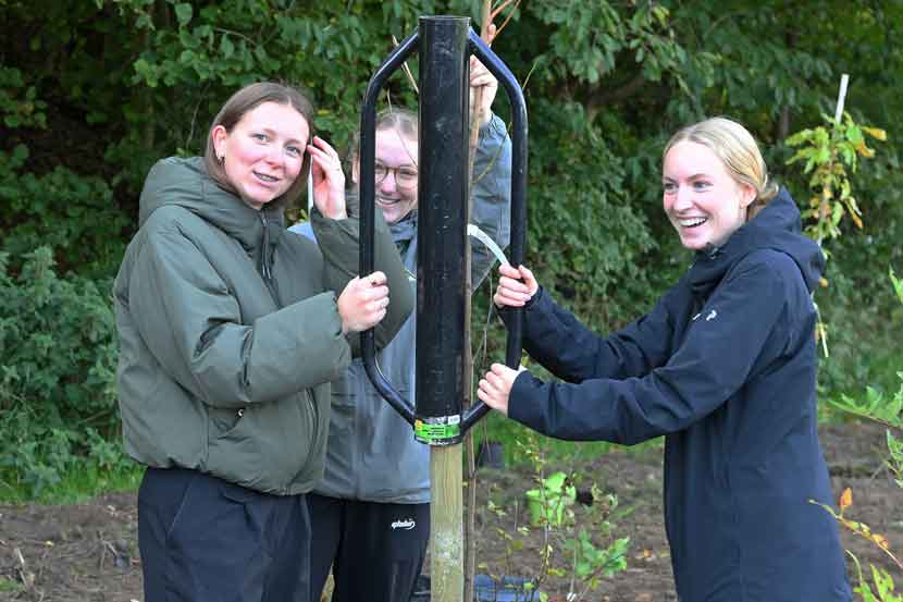 vejen gymnasium planter 25 08