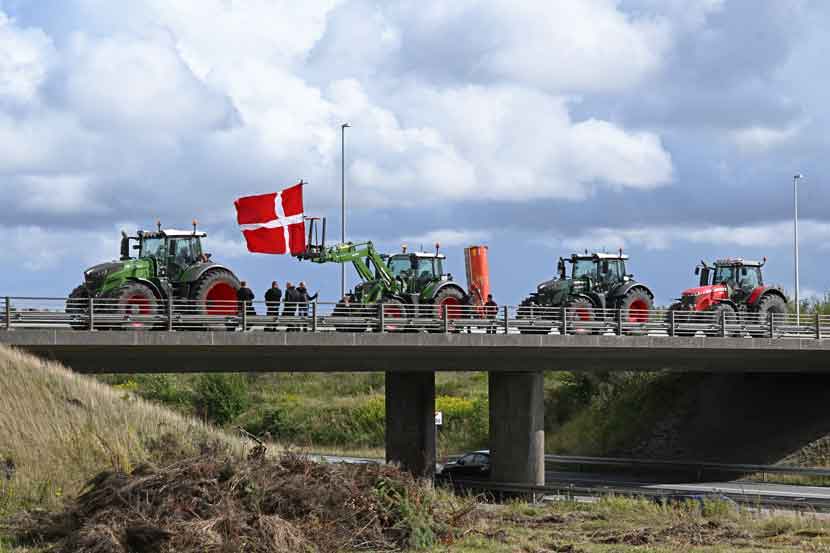 Masser af »sympatidyt«