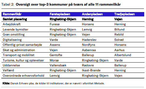 dansk-erhverv-skema-to.png