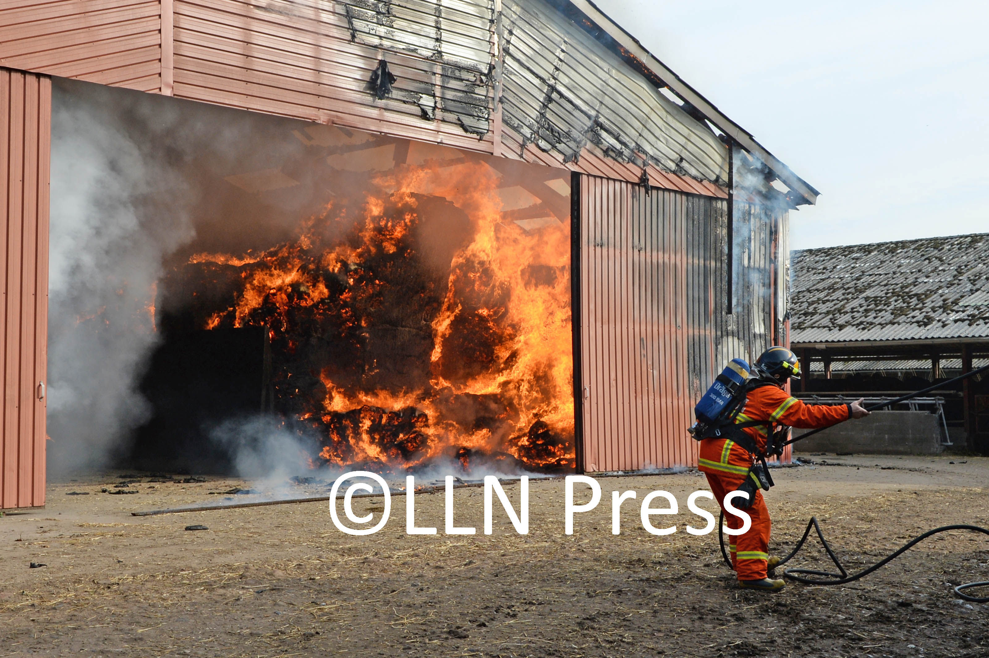 brand lauen8