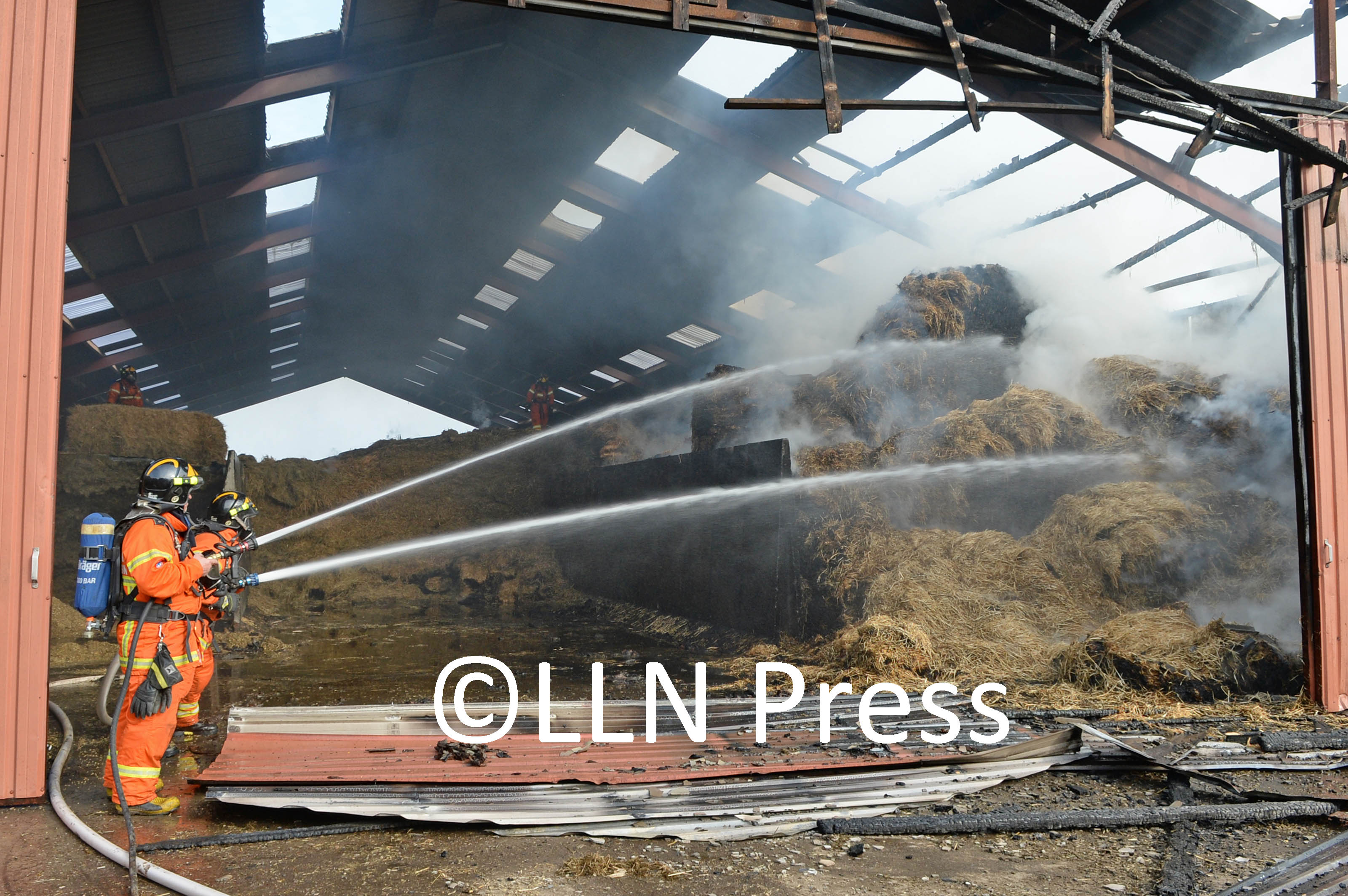 brand lauen8