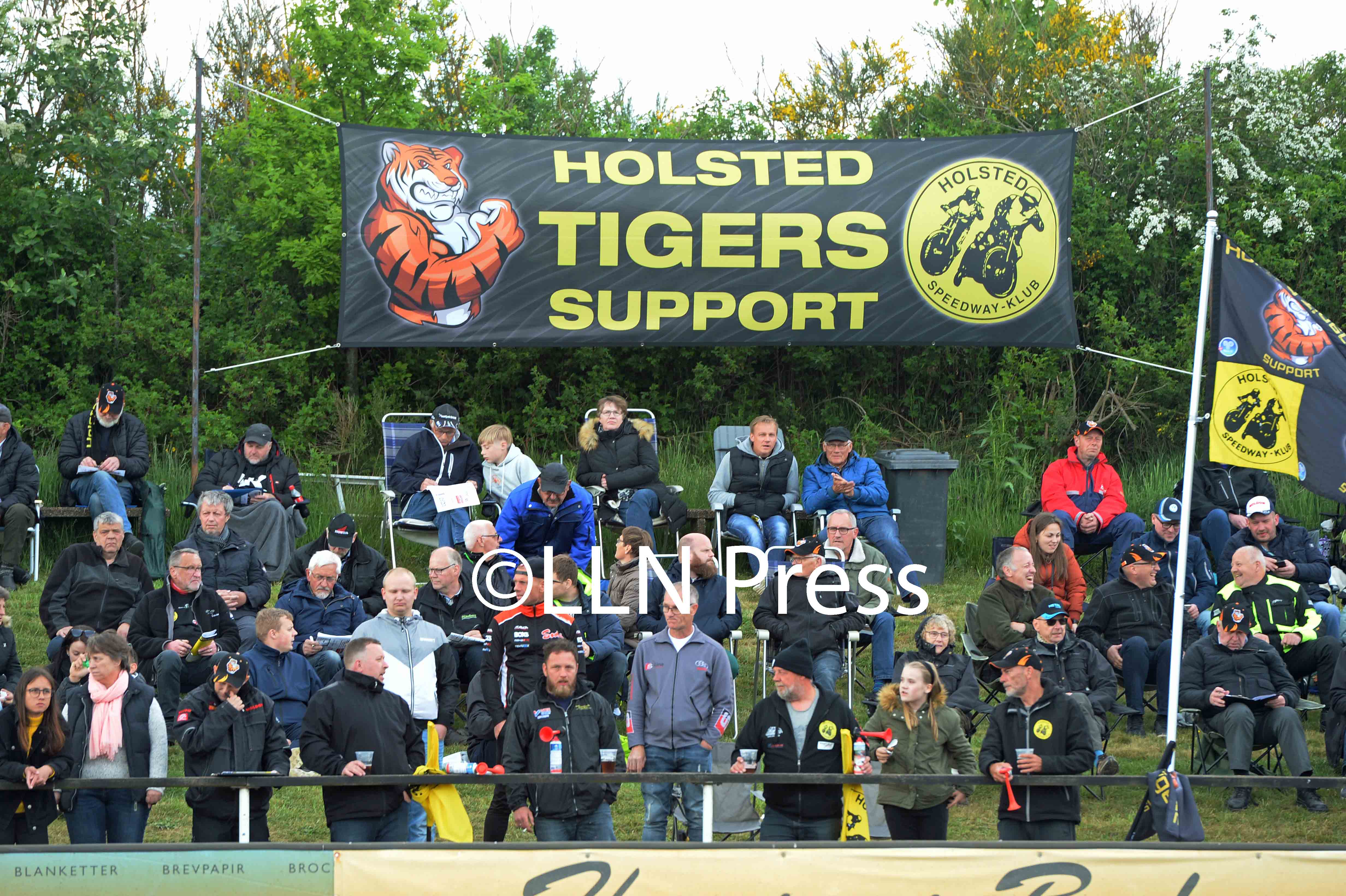 holsted tigers support 1